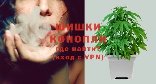 крисы Магадан