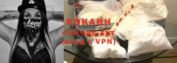 крисы Магадан