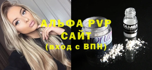 прущие грибы Майский