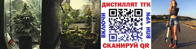Купить  Кировск  Дистиллят ТГК гашишное масло 