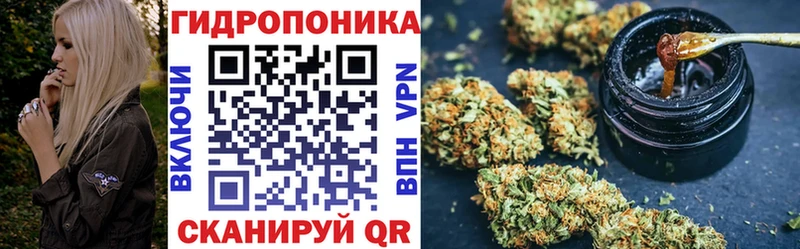 Купить закладки  Кировск  Конопля OG Kush 
